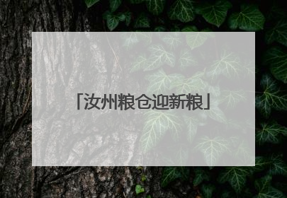 汝州粮仓迎新粮