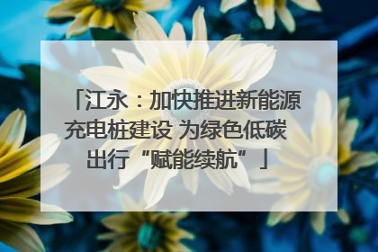 江永：加快推进新能源充电桩建设 为绿色低碳出行“赋能续航”