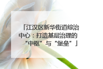 江汉区新华街道综治中心：打造基层治理的“中枢”与“堡垒”