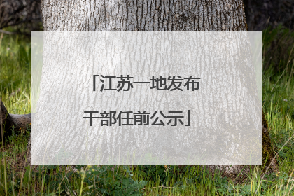 江苏一地发布干部任前公示