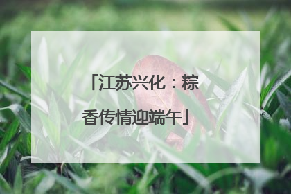 江苏兴化：粽香传情迎端午