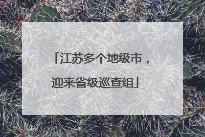 江苏多个地级市，迎来省级巡查组