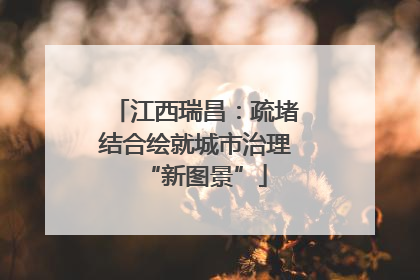 江西瑞昌：疏堵结合绘就城市治理“新图景”