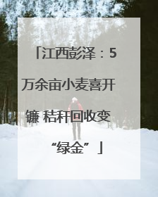 江西彭泽：5万余亩小麦喜开镰 秸秆回收变“绿金”