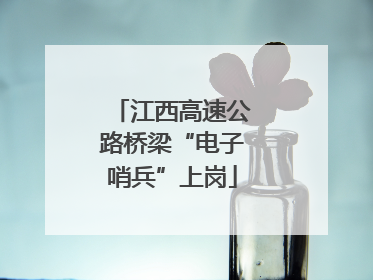 江西高速公路桥梁“电子哨兵”上岗