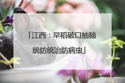江西：早稻破口抽穗 统防统治防病虫