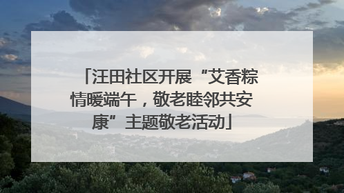 汪田社区开展“艾香粽情暖端午，敬老睦邻共安康”主题敬老活动