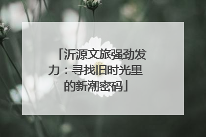 沂源文旅强劲发力：寻找旧时光里的新潮密码