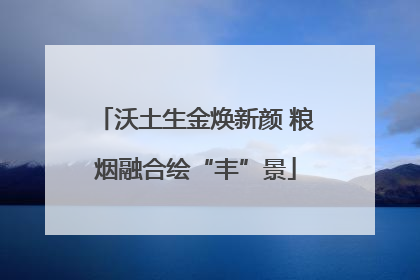 沃土生金焕新颜 粮烟融合绘“丰”景
