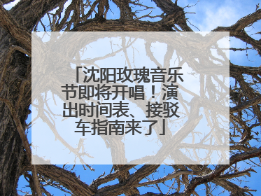 沈阳玫瑰音乐节即将开唱！演出时间表、接驳车指南来了