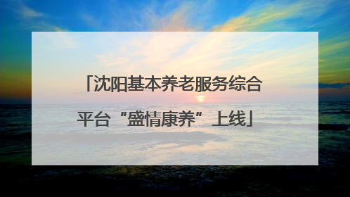 沈阳基本养老服务综合平台“盛情康养”上线
