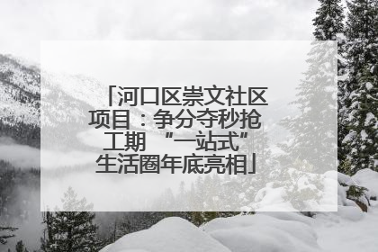 河口区崇文社区项目：争分夺秒抢工期 “一站式”生活圈年底亮相
