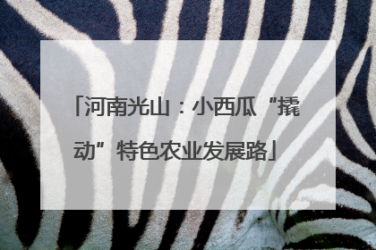 河南光山：小西瓜“撬动”特色农业发展路