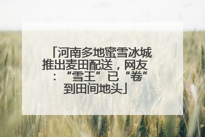 河南多地蜜雪冰城推出麦田配送，网友：“雪王”已“卷”到田间地头