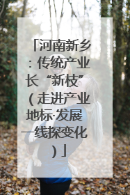 河南新乡：传统产业长“新枝”（走进产业地标·发展一线探变化）