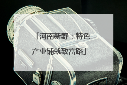 河南新野：特色产业铺就致富路