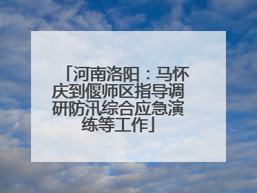 河南洛阳：马怀庆到偃师区指导调研防汛综合应急演练等工作