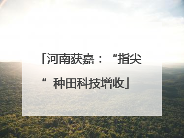 河南获嘉：“指尖”种田科技增收