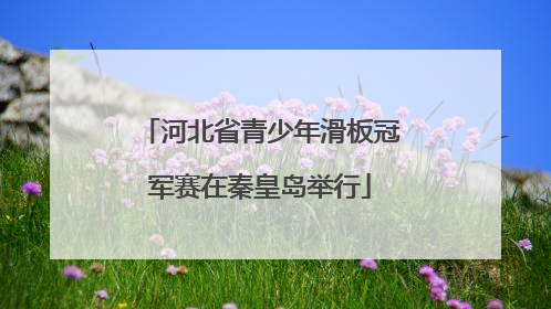 河北省青少年滑板冠军赛在秦皇岛举行