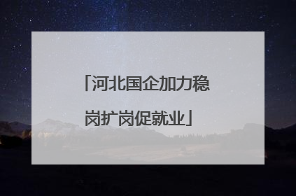 河北国企加力稳岗扩岗促就业