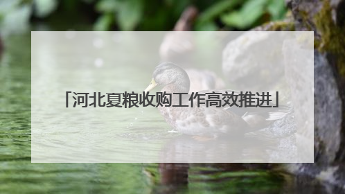 河北夏粮收购工作高效推进