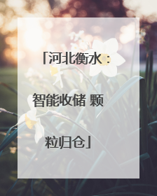 河北衡水：智能收储 颗粒归仓