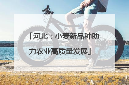 河北：小麦新品种助力农业高质量发展