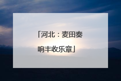 河北：麦田奏响丰收乐章