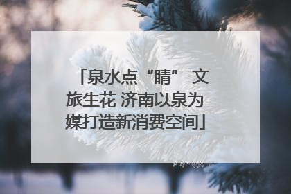 泉水点“睛” 文旅生花 济南以泉为媒打造新消费空间
