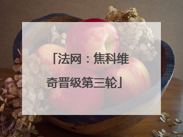 法网：焦科维奇晋级第三轮