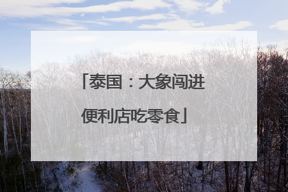 泰国：大象闯进便利店吃零食