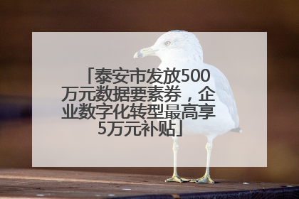 泰安市发放500万元数据要素券，企业数字化转型最高享5万元补贴