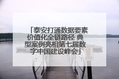 泰安打通数据要素价值化全链路径 典型案例亮相第七届数字中国建设峰会