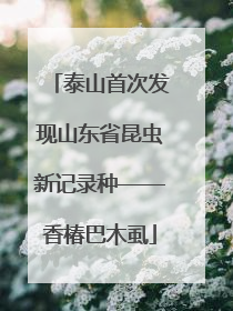 泰山首次发现山东省昆虫新记录种——香椿巴木虱