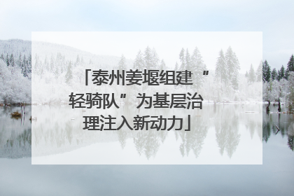 泰州姜堰组建“轻骑队”为基层治理注入新动力