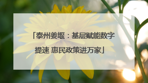 泰州姜堰：基层赋能数字提速 惠民政策进万家