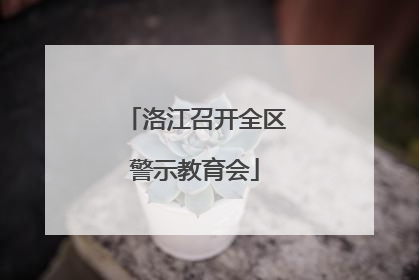 洛江召开全区警示教育会