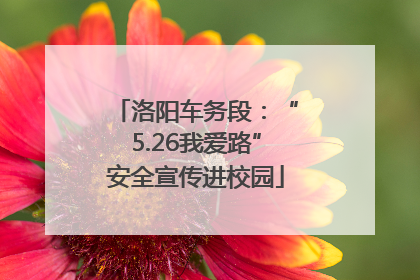 洛阳车务段：“5.26我爱路”安全宣传进校园