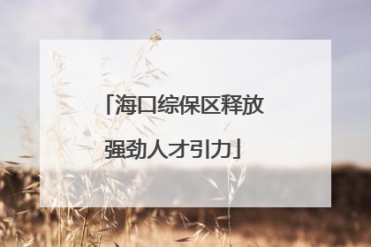 海口综保区释放强劲人才引力