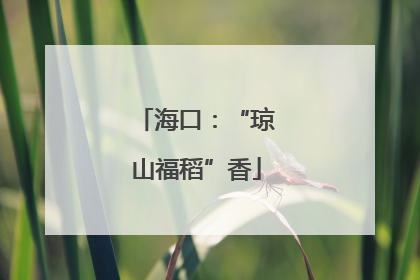 海口：“琼山福稻”香