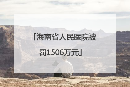 海南省人民医院被罚1506万元