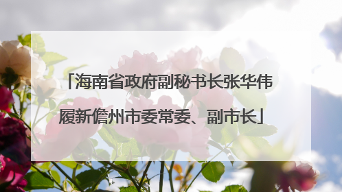 海南省政府副秘书长张华伟履新儋州市委常委、副市长