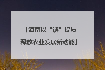 海南以“链”提质 释放农业发展新动能