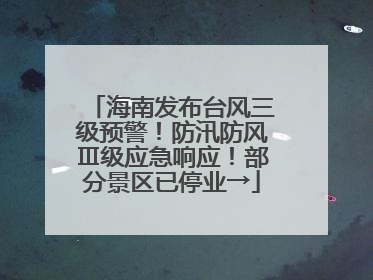 海南发布台风三级预警！防汛防风Ⅲ级应急响应！部分景区已停业→