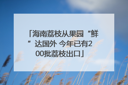 海南荔枝从果园“鲜”达国外 今年已有200批荔枝出口