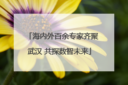海内外百余专家齐聚武汉 共探数智未来