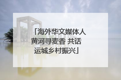 海外华文媒体人黄河寻麦香 共话运城乡村振兴
