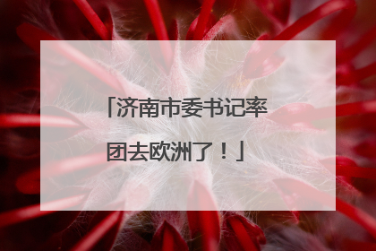 济南市委书记率团去欧洲了！