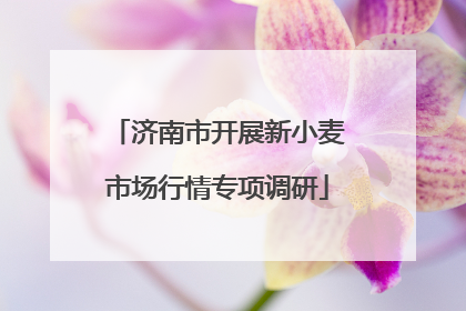 济南市开展新小麦市场行情专项调研