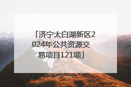济宁太白湖新区2024年公共资源交易项目121项